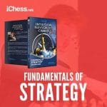 PREMIUM CHESS VIDEO | Fundamentals of Strategy with GM Georg Meier (MP4) - CHESS PREMIUM
