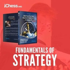 PREMIUM CHESS VIDEO | Fundamentals of Strategy with GM Georg Meier (MP4) - CHESS PREMIUM