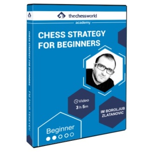 Chess Strategy for Beginners with IM Boroljub Zlatanovic + PGN