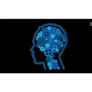 Expert Chess Courses with FM Mike Ivanov