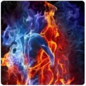 The Fiery Icelandic Gambit PGN Only Chessable